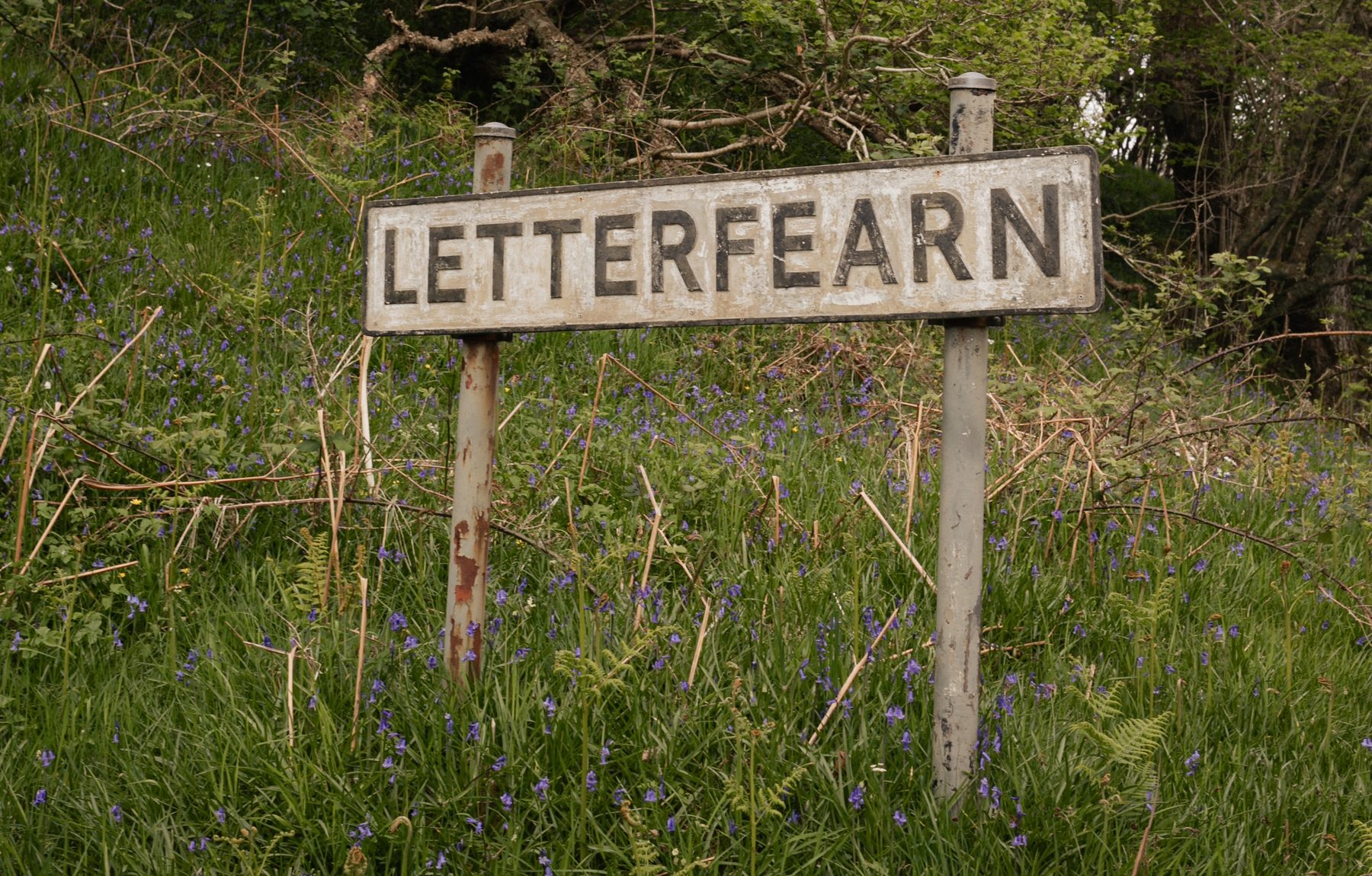 Letterfearn village sign surrounded by bluebells