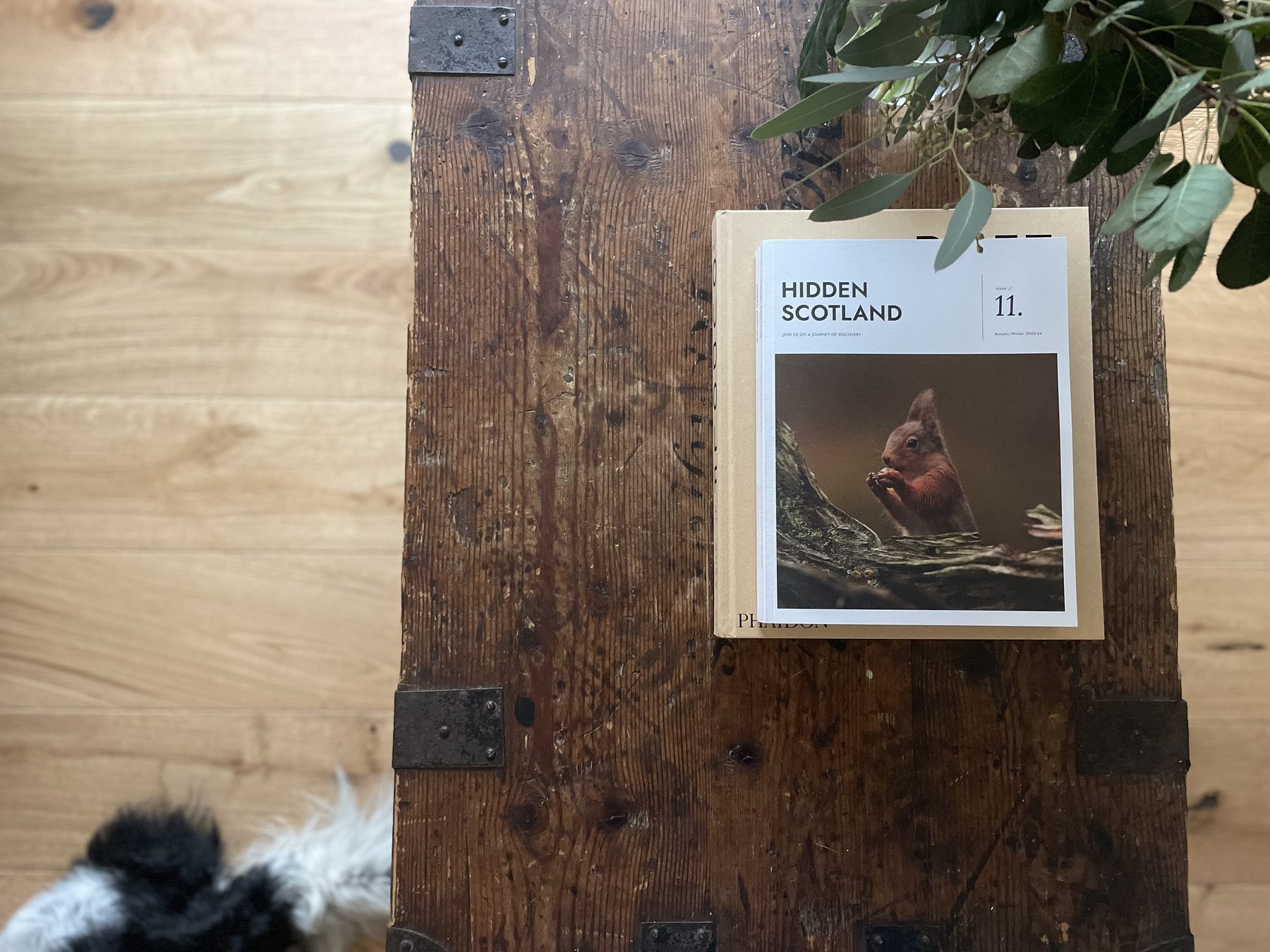 Hidden Scotland magazine on antique trunk